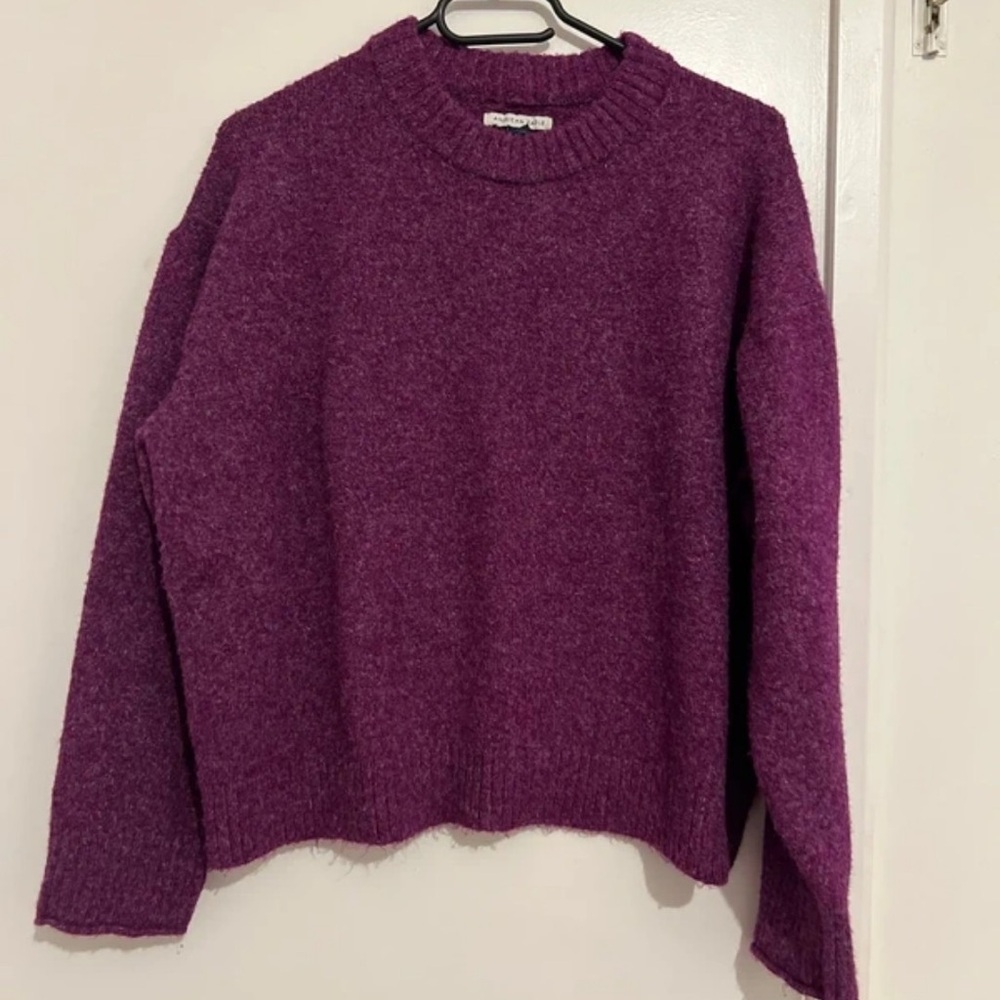 American Eagle Outfitters Plum Crew Neck Sweater